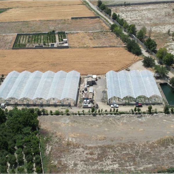 ساخت گلخانه الهیه در باغ صبا